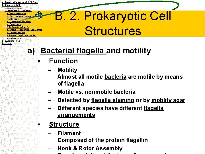 A. Features Common to All Cell Types B. Prokaryotic Cells 1. General Features 2.