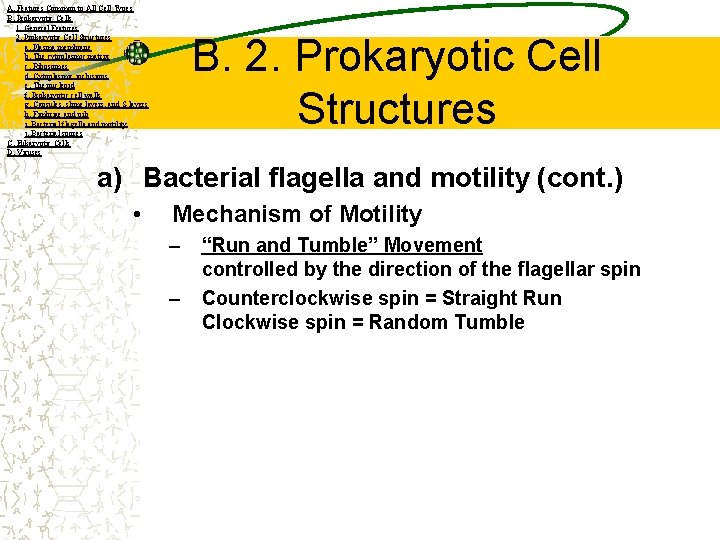 A. Features Common to All Cell Types B. Prokaryotic Cells 1. General Features 2.