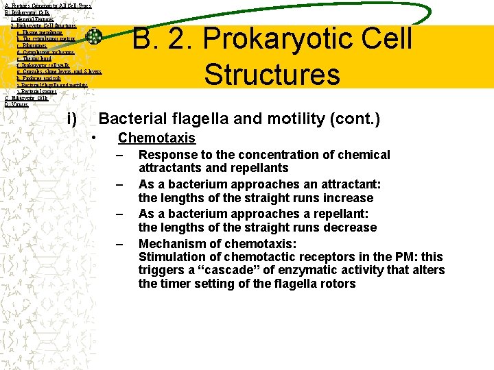 A. Features Common to All Cell Types B. Prokaryotic Cells 1. General Features 2.