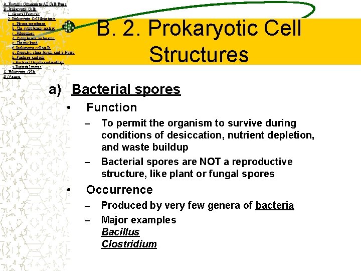A. Features Common to All Cell Types B. Prokaryotic Cells 1. General Features 2.