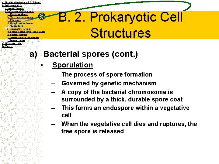 A. Features Common to All Cell Types B. Prokaryotic Cells 1. General Features 2.