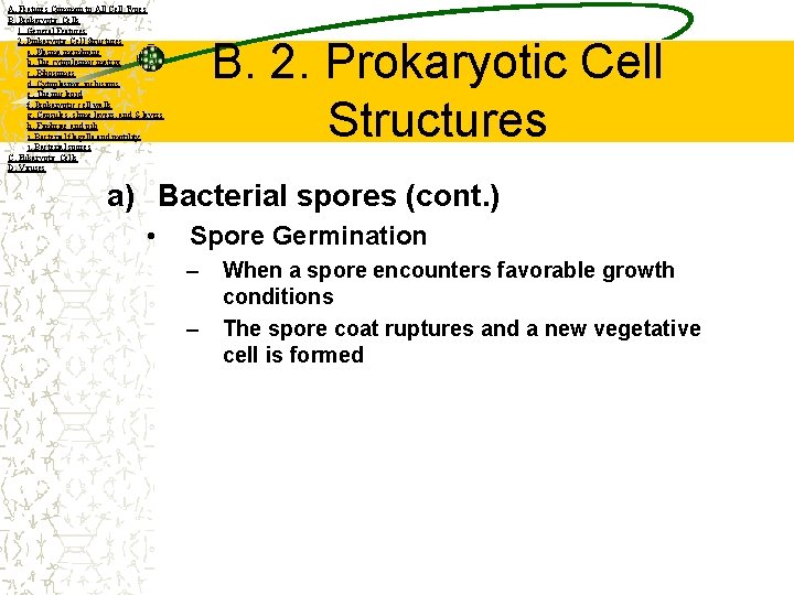 A. Features Common to All Cell Types B. Prokaryotic Cells 1. General Features 2.