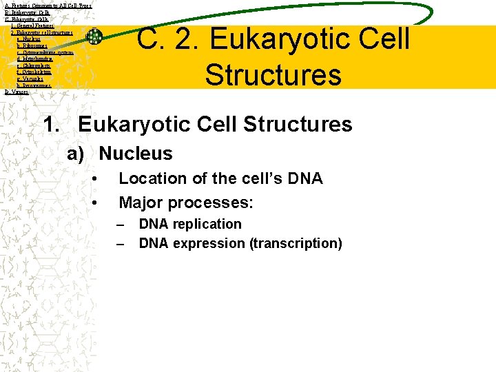 A. Features Common to All Cell Types B. Prokaryotic Cells C. Eukaryotic Cells 1.