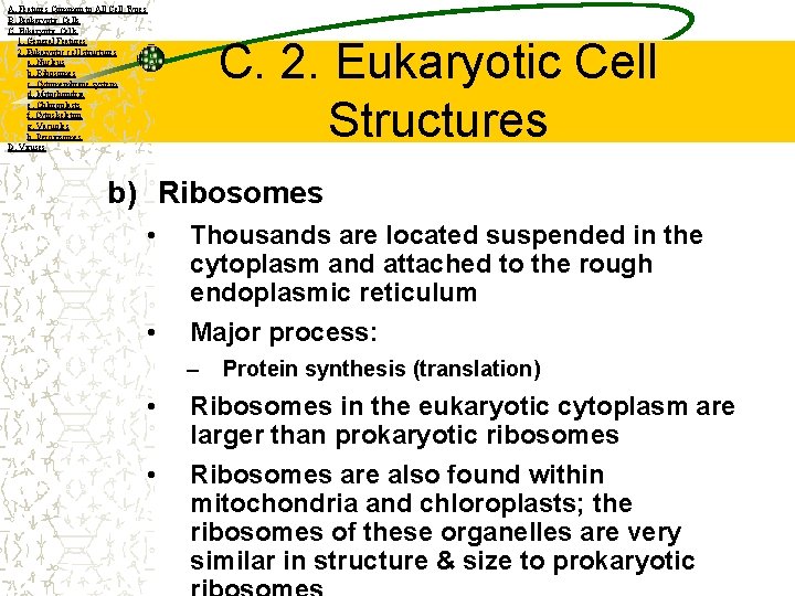 A. Features Common to All Cell Types B. Prokaryotic Cells C. Eukaryotic Cells 1.