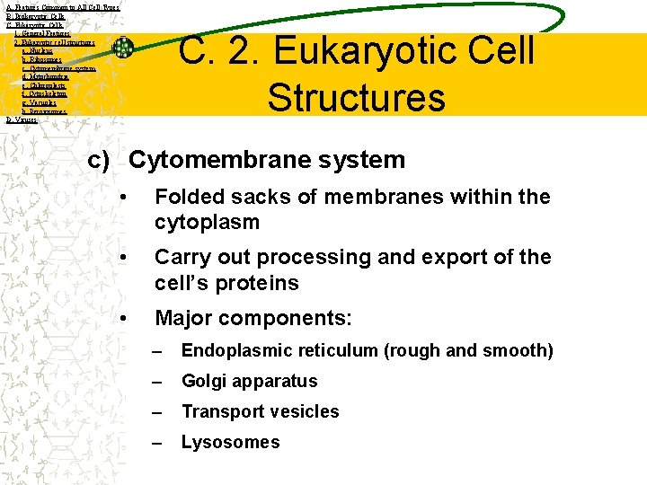 A. Features Common to All Cell Types B. Prokaryotic Cells C. Eukaryotic Cells 1.