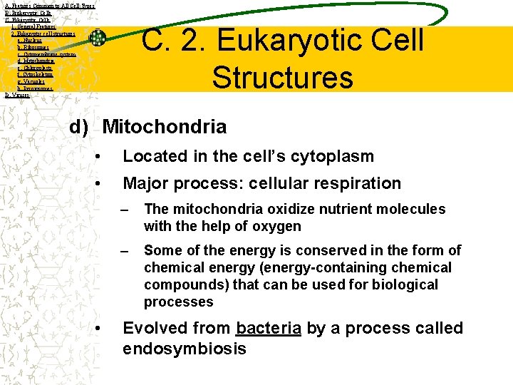 A. Features Common to All Cell Types B. Prokaryotic Cells C. Eukaryotic Cells 1.
