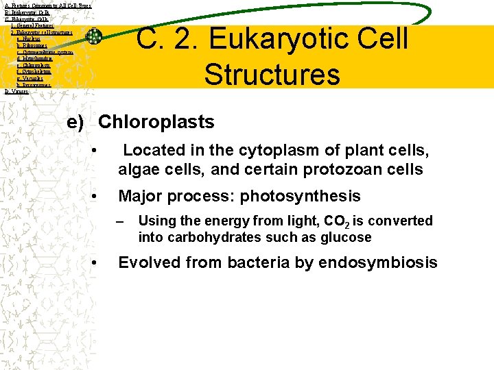 A. Features Common to All Cell Types B. Prokaryotic Cells C. Eukaryotic Cells 1.