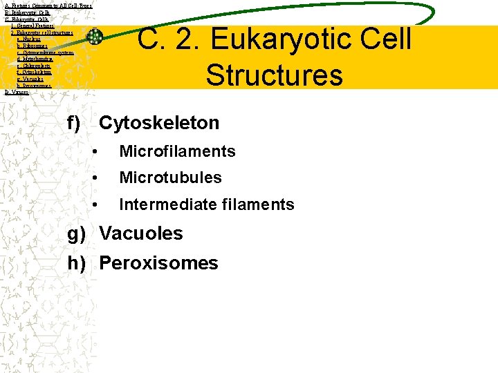 A. Features Common to All Cell Types B. Prokaryotic Cells C. Eukaryotic Cells 1.