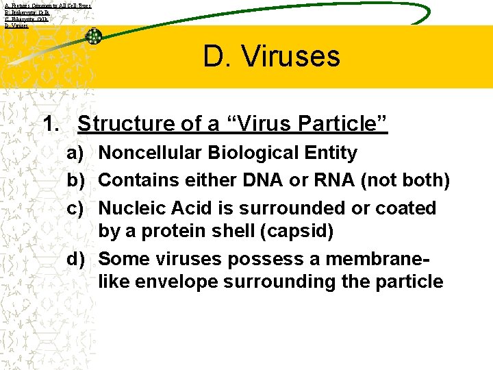 A. Features Common to All Cell Types B. Prokaryotic Cells C. Eukaryotic Cells D.