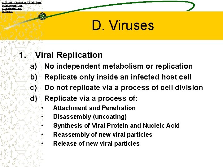 A. Features Common to All Cell Types B. Prokaryotic Cells C. Eukaryotic Cells D.