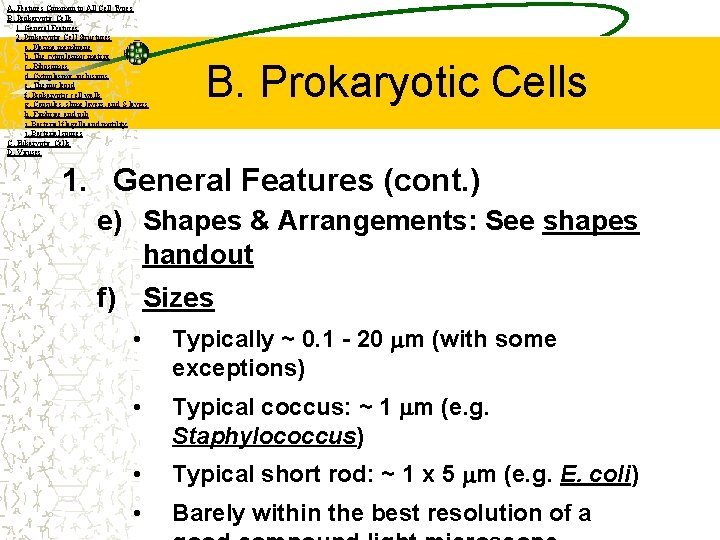 A. Features Common to All Cell Types B. Prokaryotic Cells 1. General Features 2.