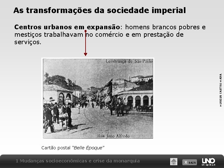 As transformações da sociedade imperial MUSEUS CASTRO MAYA Centros urbanos em expansão: homens brancos