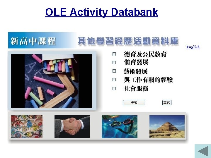 OLE Activity Databank 