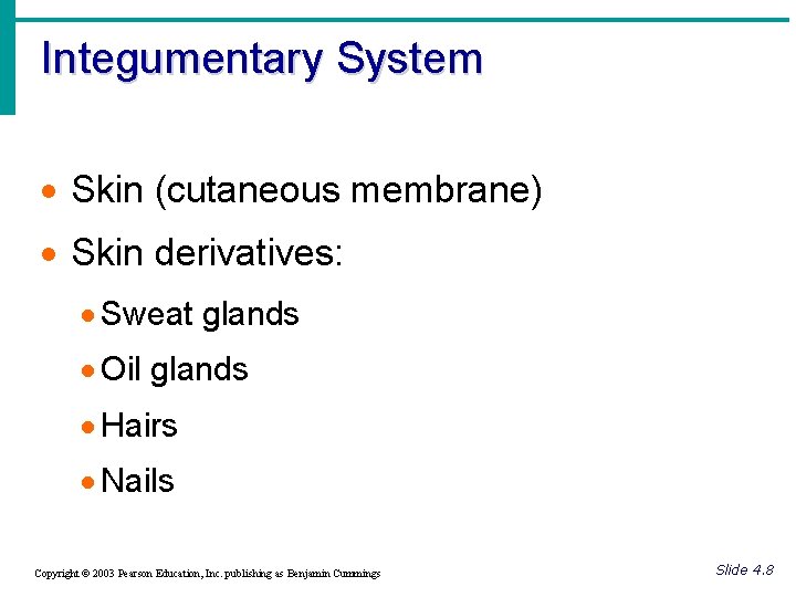 Integumentary System · Skin (cutaneous membrane) · Skin derivatives: · Sweat glands · Oil