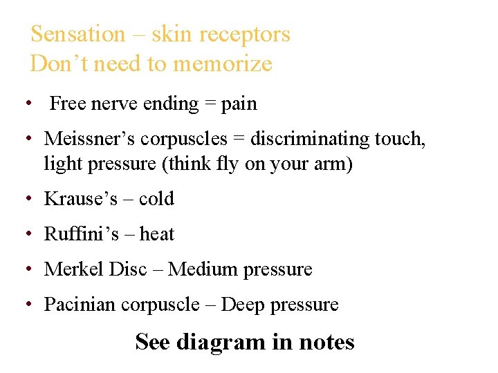Sensation – skin receptors Don’t need to memorize • Free nerve ending = pain