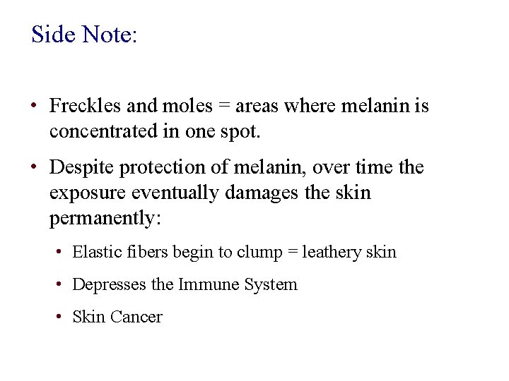 Side Note: • Freckles and moles = areas where melanin is concentrated in one
