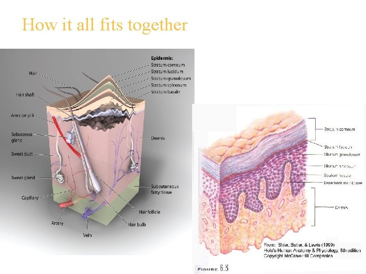 How it all fits together 