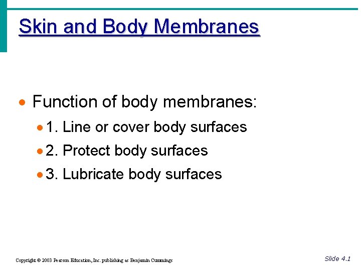 Skin and Body Membranes · Function of body membranes: · 1. Line or cover