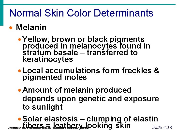 Normal Skin Color Determinants · Melanin · Yellow, brown or black pigments produced in