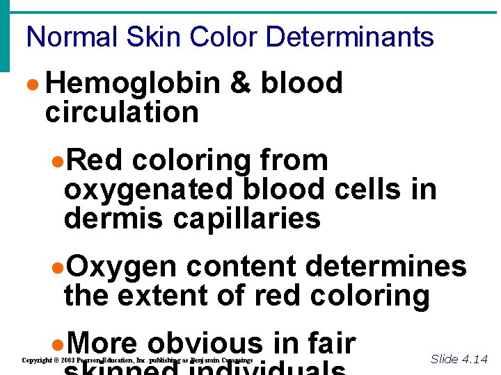 Normal Skin Color Determinants · Hemoglobin & blood circulation ·Red coloring from oxygenated blood