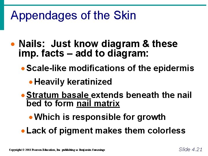 Appendages of the Skin · Nails: Just know diagram & these imp. facts –