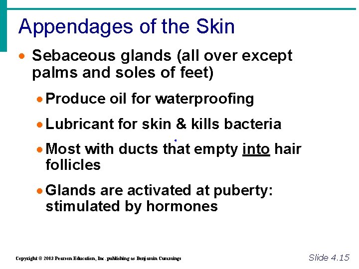 Appendages of the Skin · Sebaceous glands (all over except palms and soles of