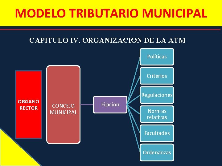 MODELO TRIBUTARIO MUNICIPAL CAPITULO IV. ORGANIZACION DE LA ATM Políticas Criterios ORGANO RECTOR Regulaciones