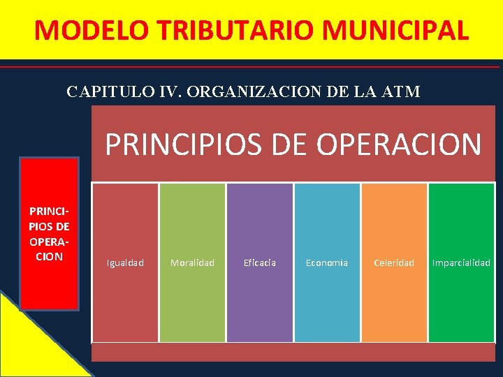 MODELO TRIBUTARIO MUNICIPAL CAPITULO IV. ORGANIZACION DE LA ATM PRINCIPIOS DE OPERACION Igualdad Moralidad