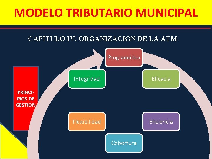 MODELO TRIBUTARIO MUNICIPAL CAPITULO IV. ORGANIZACION DE LA ATM Programática Integridad Eficacia Flexibilidad Eficiencia