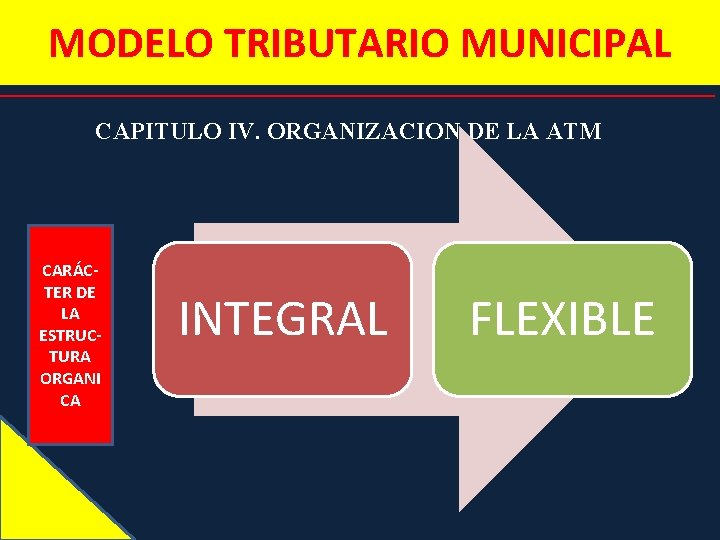 MODELO TRIBUTARIO MUNICIPAL CAPITULO IV. ORGANIZACION DE LA ATM CARÁCTER DE LA ESTRUCTURA ORGANI