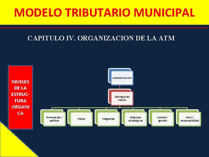 MODELO TRIBUTARIO MUNICIPAL CAPITULO IV. ORGANIZACION DE LA ATM NIVELES DE LA ESTRUCTURA ORGANI