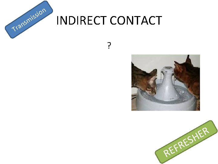 n a r T i m s n o i ss INDIRECT CONTACT ?
