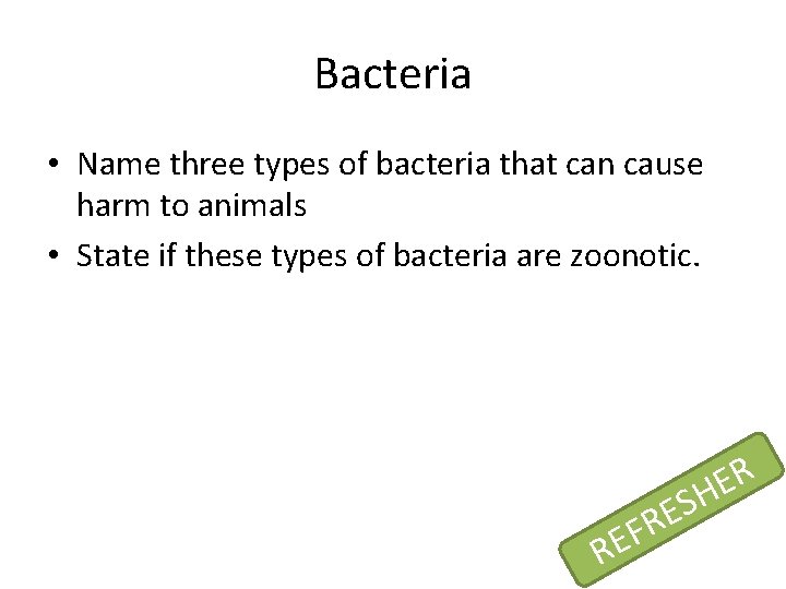 Bacteria • Name three types of bacteria that can cause harm to animals •