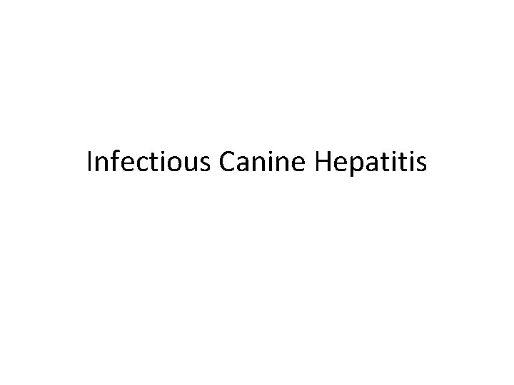 Infectious Canine Hepatitis 