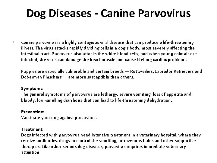 Dog Diseases - Canine Parvovirus • Canine parvovirus is a highly contagious viral disease