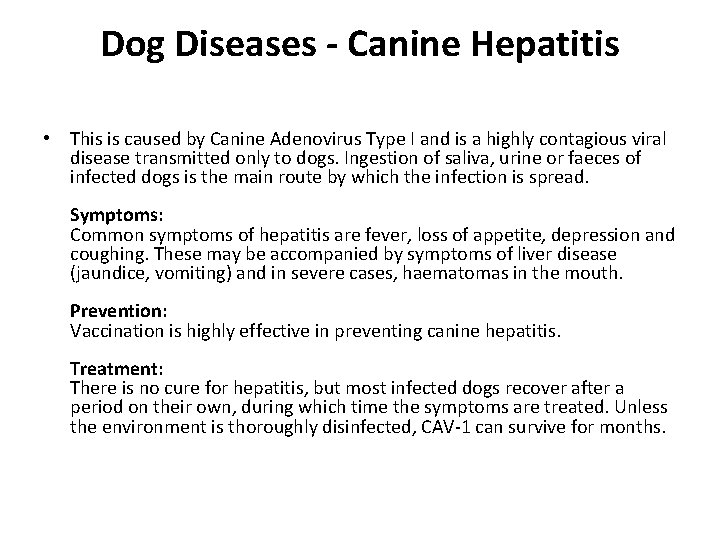 Dog Diseases - Canine Hepatitis • This is caused by Canine Adenovirus Type I