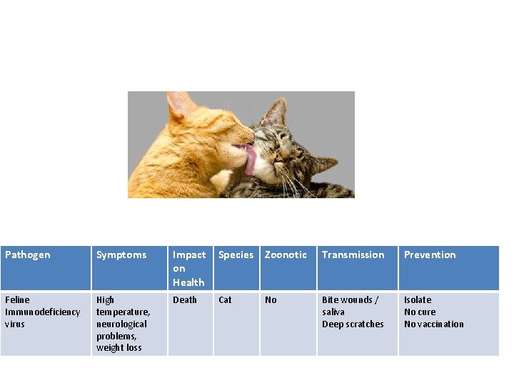 Pathogen Symptoms Impact on Health Species Zoonotic Transmission Prevention Feline Immunodeficiency virus High temperature,