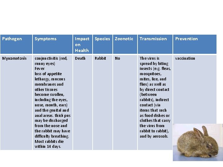 Pathogen Symptoms Impact on Health Species Zoonotic Transmission Prevention Myxomatosis conjunctivitis (red, runny eyes)