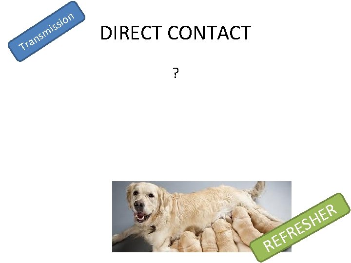 n a r T i m s n o i ss DIRECT CONTACT ?