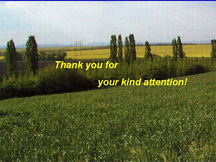 Thank you for your kind attention! 
