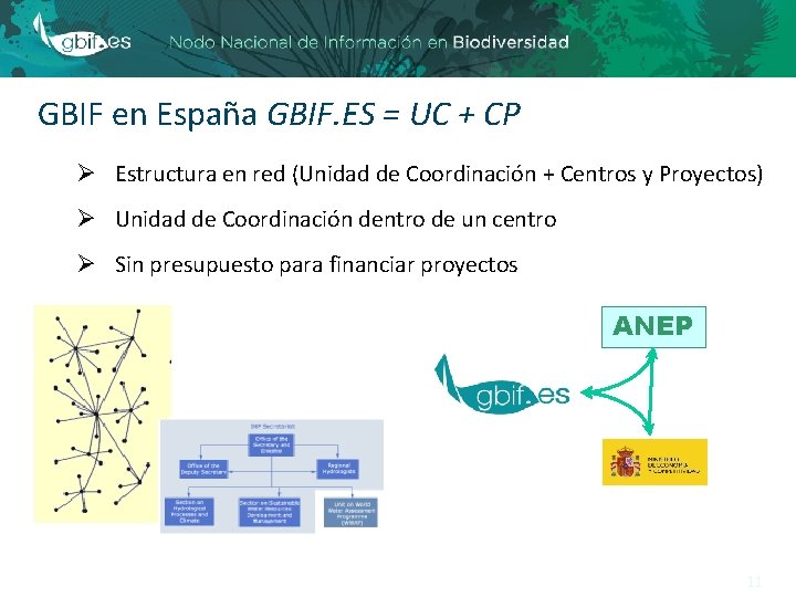GBIF en España GBIF. ES = UC + CP Ø Estructura en red (Unidad