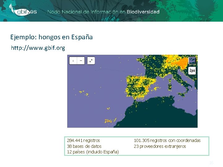 Ejemplo: hongos en España http: //www. gbif. org 284. 441 registros 38 bases de