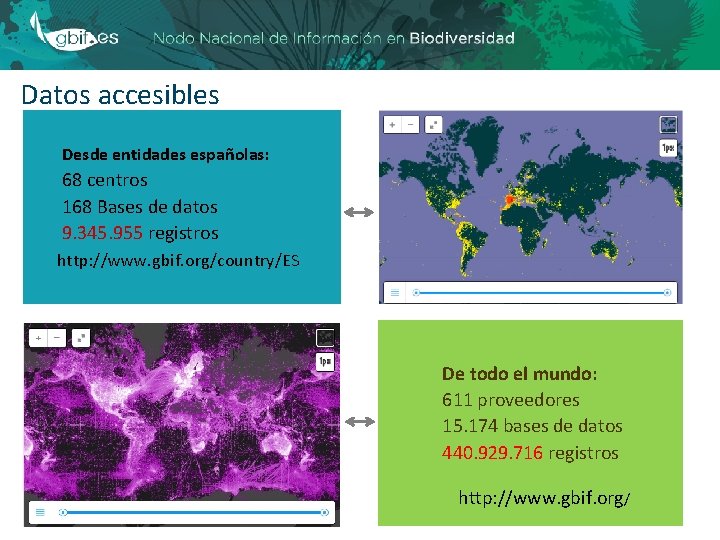 Datos accesibles Desde entidades españolas: 68 centros 168 Bases de datos 9. 345. 955