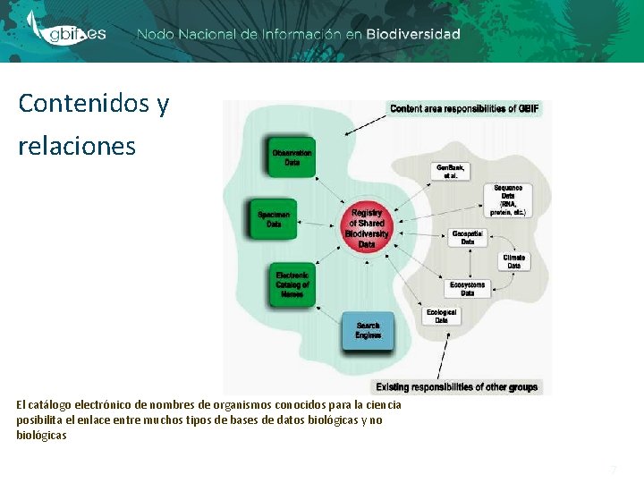 Contenidos y relaciones El catálogo electrónico de nombres de organismos conocidos para la ciencia