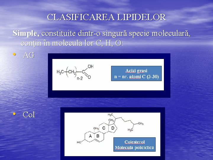 CLASIFICAREA LIPIDELOR Simple, constituite dintr-o singură specie moleculară, conţin în molecula lor C, H,