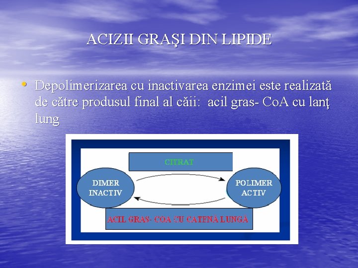 ACIZII GRAŞI DIN LIPIDE • Depolimerizarea cu inactivarea enzimei este realizată de către produsul