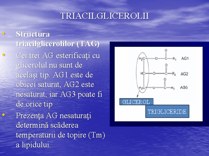 TRIACILGLICEROLII • • • Structura triacilglicerolilor (TAG) Cei trei AG esterificaţi cu glicerolul nu