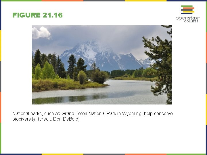 FIGURE 21. 16 National parks, such as Grand Teton National Park in Wyoming, help