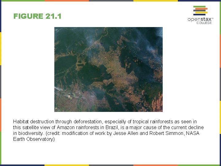FIGURE 21. 1 Habitat destruction through deforestation, especially of tropical rainforests as seen in