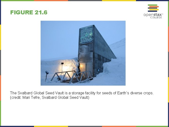 FIGURE 21. 6 The Svalbard Global Seed Vault is a storage facility for seeds